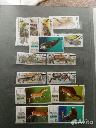 Марки фауна (птицы, животные)