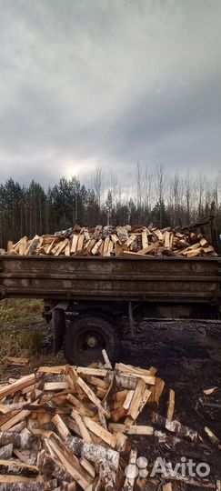 Дрова березовые колотые