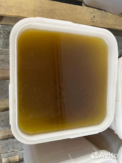 Мед майский оптом