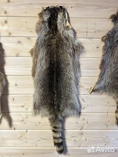 Шкура енота