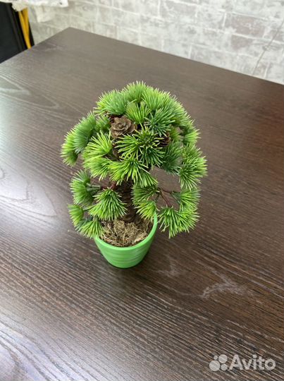 Бонсай искусственный