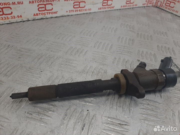 Форсунка для Peugeot-Citroen C4 1