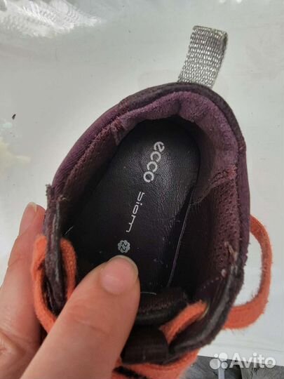 Ботинки ecco 22