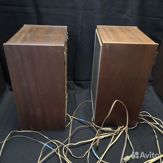 Акустическая система 10мас-1М