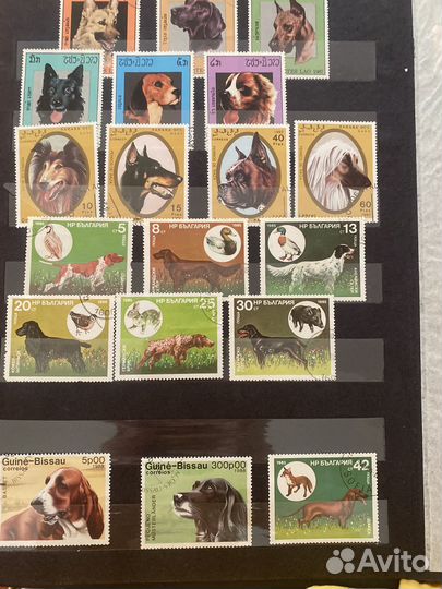 Коллекционные марки кошки и собаки