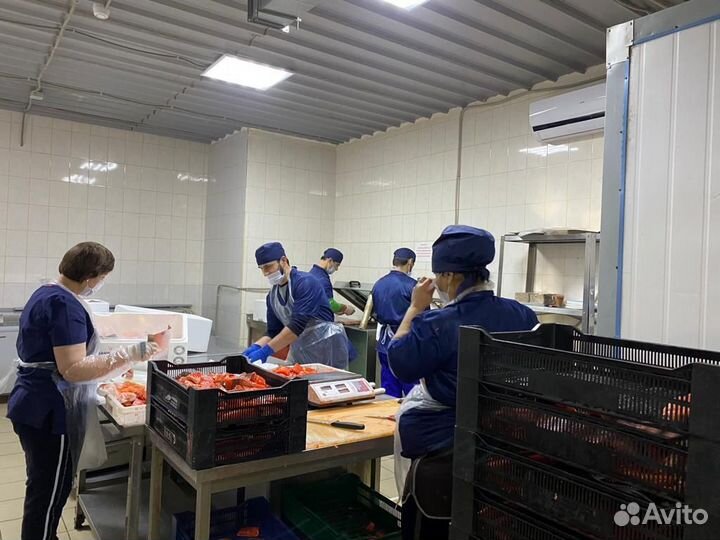 Продам готовый бизнес производство (рыбное)