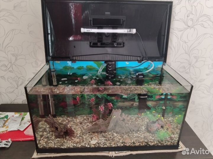 Аквариум