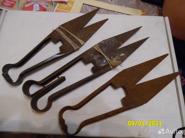 Ножницы для стрижки,стальныекольядля привязи скота