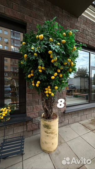 Корзина плетеная с лимонами