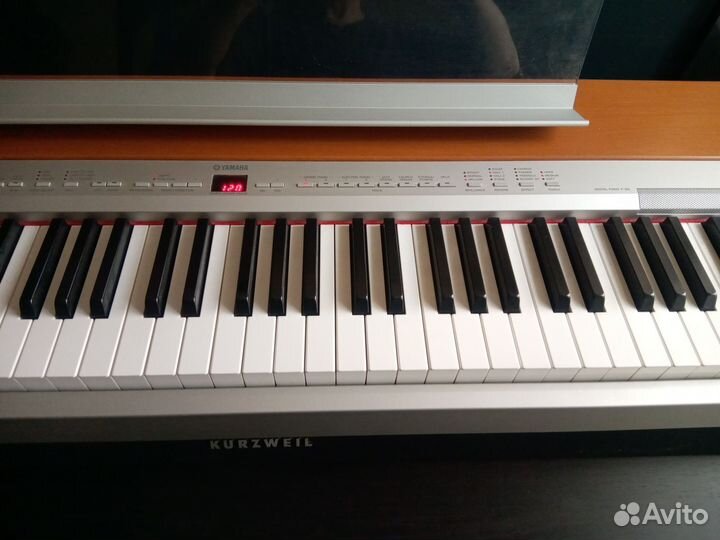 Цифровое пианино Kurzweil MP 10 и Yamaha P 155