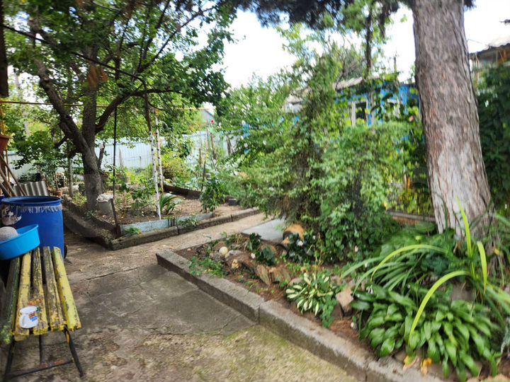 Дом 65 м² на участке 6 сот.