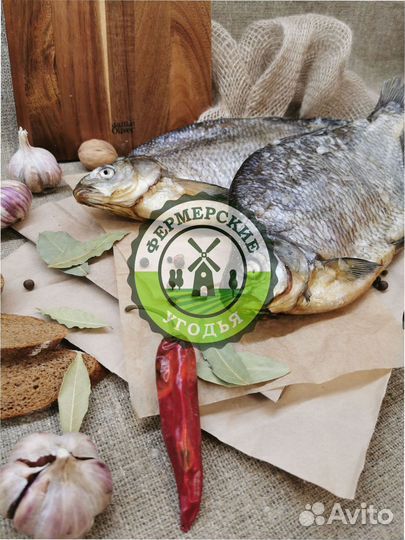 Рыба северная Язь Щука Щекур Мохтик Лещ Сырок