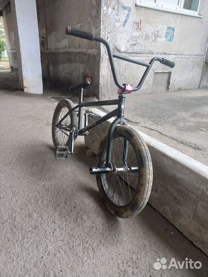 BMX Radio Darko