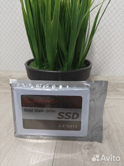 SSD Goldenfir 512