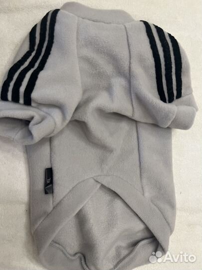 Одежда для маленьких собак xs