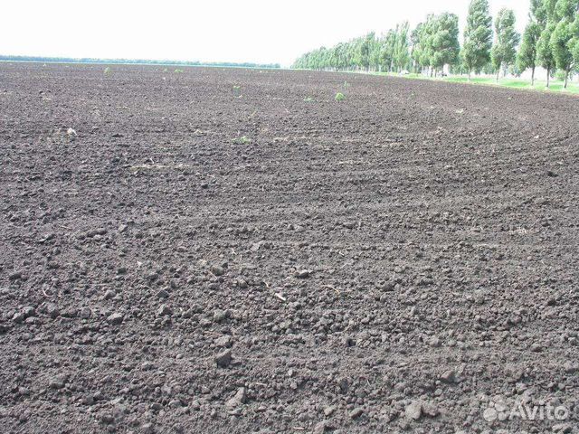 Плодородный грунт, Торф, Чернозём, Земля под газон