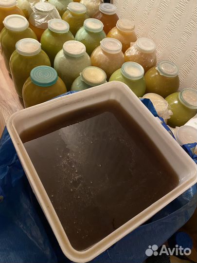 Мед с собственной пасеки