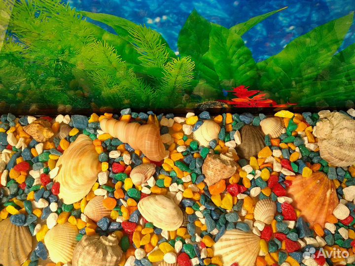Аквариум новый