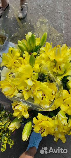 Луковицы лилий