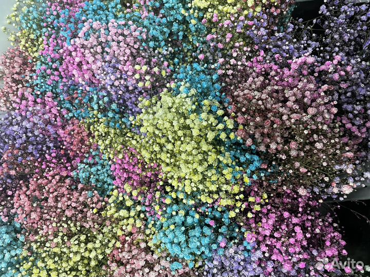 Букеты из воздушной гипсофилы