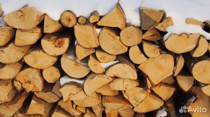 Дрова осина