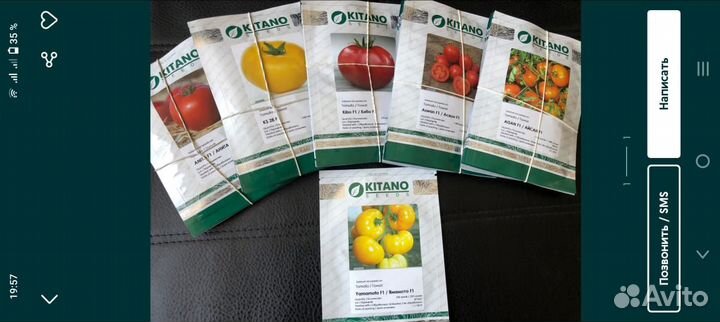 Продаем семена томатов