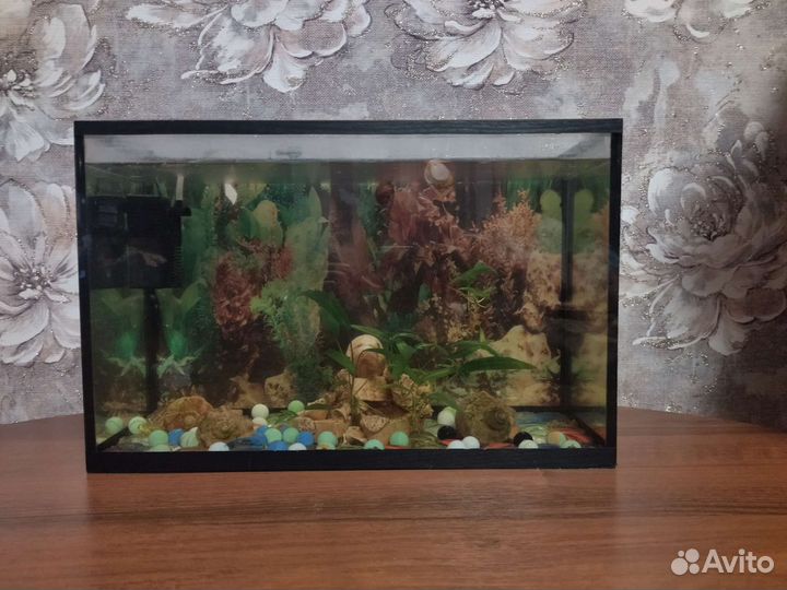 Аквариум для рыбок