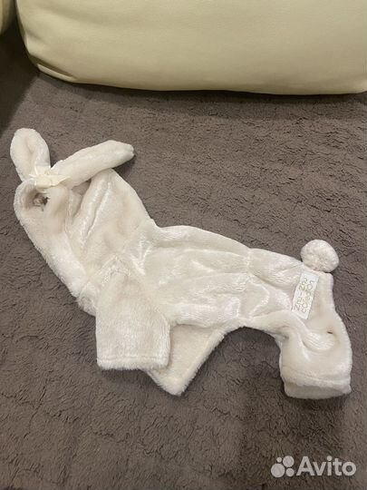 Костюм для собак