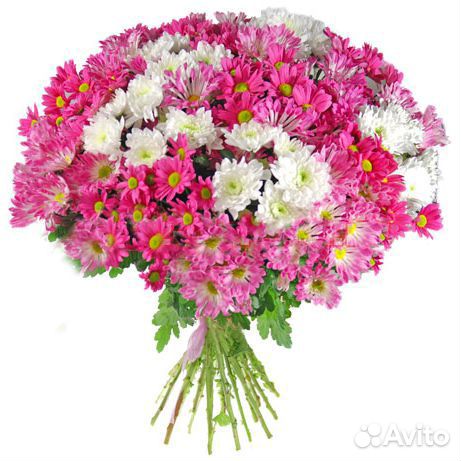 Букет из 21 хризантемы Йота