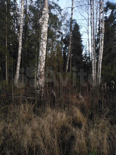 Участок 12 сот. (СНТ, ДНП)