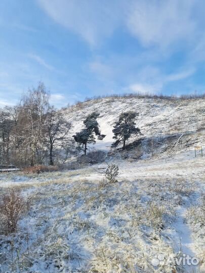 Экскурсия на Куршскую косу (экосбор включён)