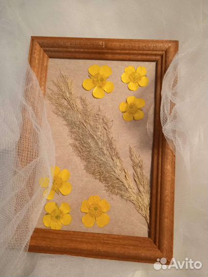 Картины из сухоцветов