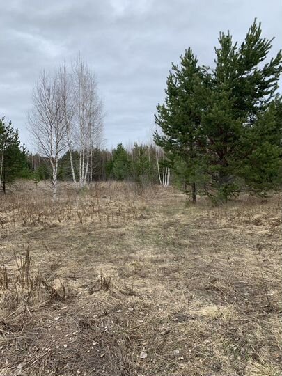 Участок 6,11 га (СНТ, ДНП)