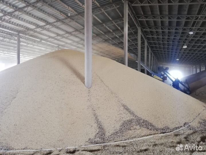 Овес, пшеница,зерносмесь