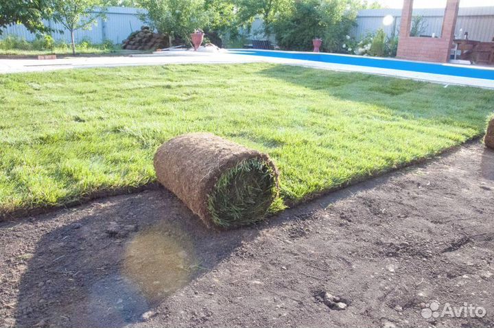 Рулонный газон, укладка рулонного газона