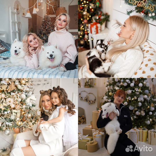 Новогодняя фотосессия