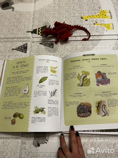 Деревья и кустарники Натали Торджман