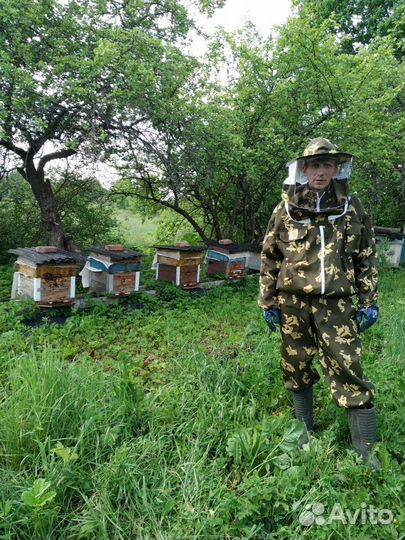 Мед цветочный разнотравье псковская обл