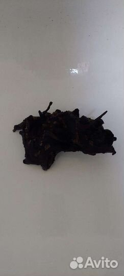 Все для аквариума