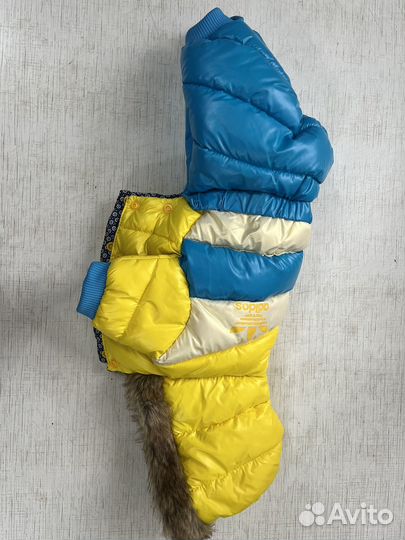 Комбинезон для маленькой собаки (мальчик)