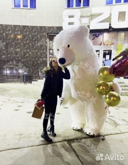 Белый мишка поздравление, медведь аниматор