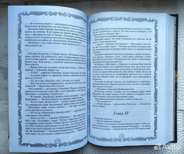 Коты воители 