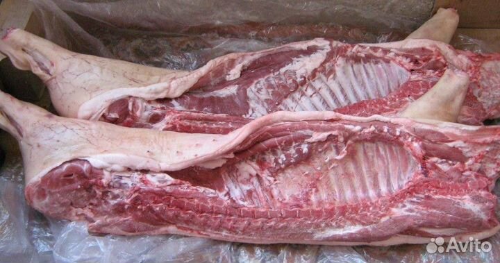 Продам домашнее мясо свинины