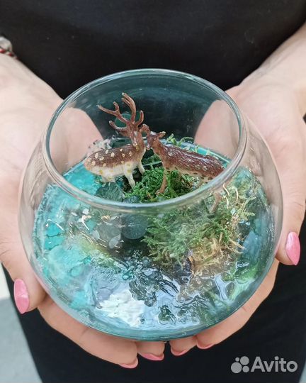 Флорариум моссариум