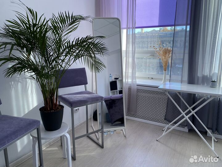 Пальма Арека