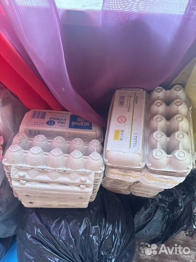 Коробки для яиц