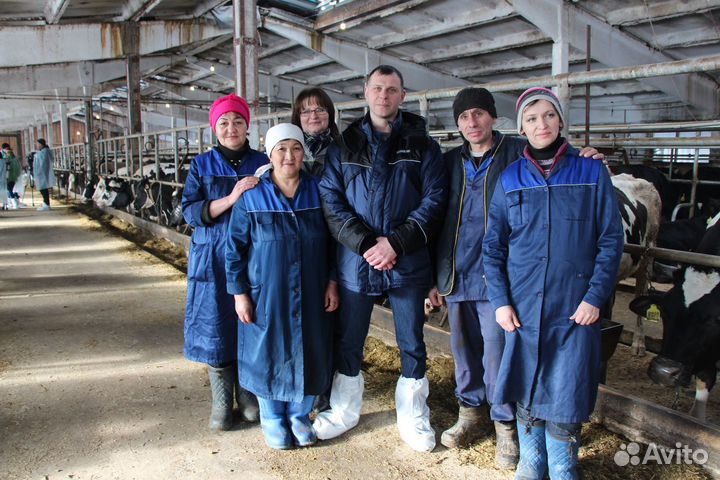 Рабочий на ферму