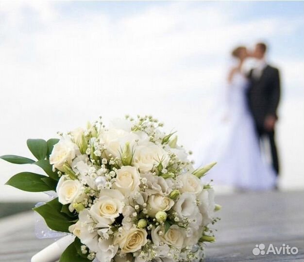 Организатор мероприятий