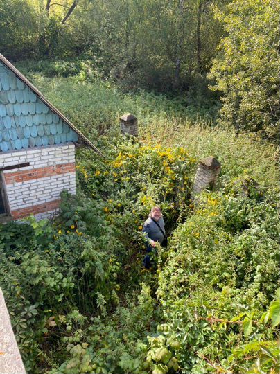 Участок 10 сот. (СНТ, ДНП)