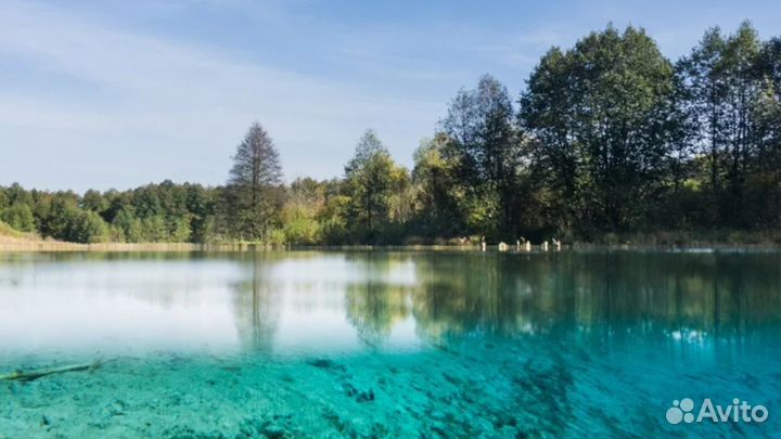 Экскурсия Индивидуальная на автобусе, гид экскурсо